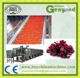 Stainless Steel Sliced Cranberry Drying Machine