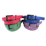 Women's Fashion Stud Belt (ZSB2540)