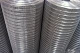 Welded Wire Mesh