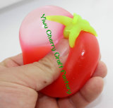 High Quality Novelty Design Tomato Splat Ball (SB012A)