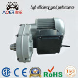 Low Rpm AC Single Phase Asynchronous Geared Electric Motor
