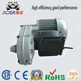 Low Rpm AC Single Phase Asynchronous Geared Electric Motor