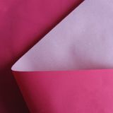 Nylon Taffeta Coated Fabric