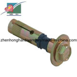 Building Expansion Anchor Bolts (ZH-EB-06)