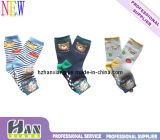 OEM Socks Exporter Cotton Child Spring Socks Boy Socks (hx-0717)