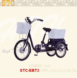 Electric Tricycle