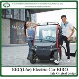 EEC Electrical Car with Hub Motor (biro)