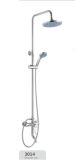 Brass Bathroom Shower Faucet and Head (No. YR3014)