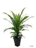 Artificial Plants and Flowers of Dracaena 32lvs Green and Yellow