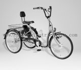 3 Speed Gears Electric Tricycle (SL-107)
