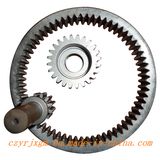 Annular Gear