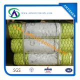 Chicken Mesh/Hexagonal Wire Mesh/Hexagonal Wire Netting