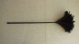 Feather Duster