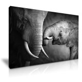 Elephant Animal Canvas Prints Decorative Painting for Your Home