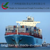 Efficient Sea Freight From China to Santa Marta, Colombia