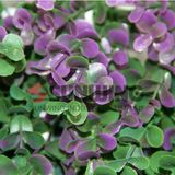 Garden Decorative Plastic Artificial Grass Leaf Fence