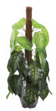 0066 Mini Artificial Bonsai Tree for Sell Artificial Green Hedge