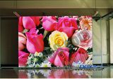 Dgx P7.62 Indoor Full Color LED Display