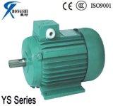 Ys Electric Motor/Iec Standard Induction Motor (YS8012)