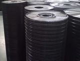 Black Welded Wire Mesh