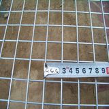 Gi Welded Wire Mesh (DYWM961164)