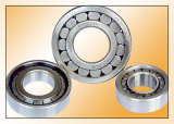 Cylindrical Roller Bearing (2402)