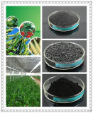 Organic Fertilizer Black Shiny Crystal 85%Min Water Soluble Potassium Humate From Leonardite