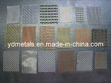 Stainless Steel Wire Mesh/ Galvanized Wire Mesh