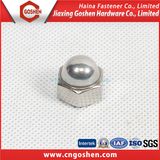 Ss304 Hex Cap Nut / DIN986, DIN917 Cap Nut M10