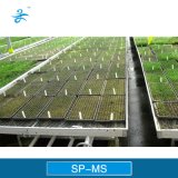 Sp-Ms Movable Seedbed for Agricultural Greenhouse