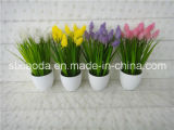Artificial Plastic Potted Flower (XD15-322)