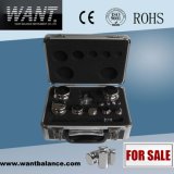 F1, F2 Class Chinese High Precision Professional Weight Kit