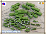 Coating Wirewound Resistor with RoHS (RX21)