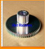 Customized Double Spur Gear