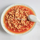 High Quality 400g*24 Canned Baked Beans in Tomato Sauce