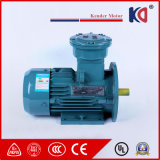 Three Phase Electric Flame Explosion Proof Motor Yb3 Series Motor