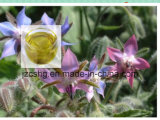 Natural Organic Borage Seed Oil/Borage Oil