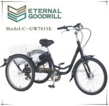 Hot Sale Electric Tricycle with Basket Gw7015e 7sp Electric Three Wheel Bike/Three Wheel Tricycle with High Quality to Customers
