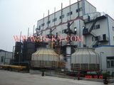 Coal Gasifier