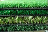 Synthetic Grass/Artificial Turf (GW203814-X)