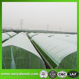 China Supplier Anti Insect Net for Greenhouse Plastic