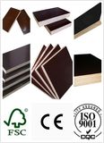 New Building Materials- Film Faced Plywod (18mm)