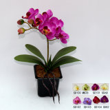 Plastic Orchid Flower