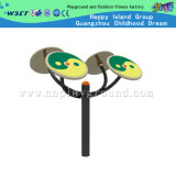 Outdoor Fitness Equipment for Tai Chi Wheel (HD-12202)