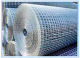 Welded Wire Mesh 001