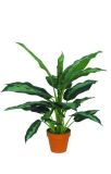 Artificial Plants and Flowers of Diffenbachia 21lvs 60cm