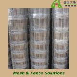 Hot Galvanized Farm Field Fence for Cattle Fence Sheep Mesh