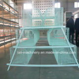 Hot Sales for Farm Poultry Broiler