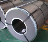 Factory Supply Cold Roll Steel Coil SPCC, Spcd, Spce