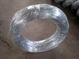 Galvanized Iron Wire Mesh